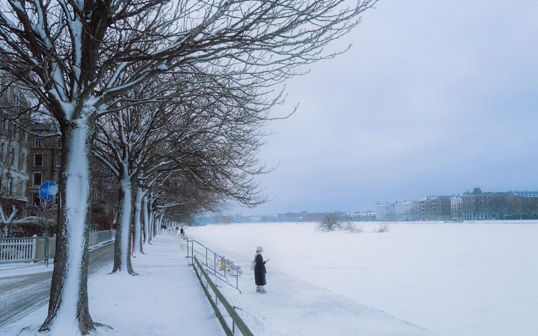 Winter in Copenhagen,  Everything you need to know!